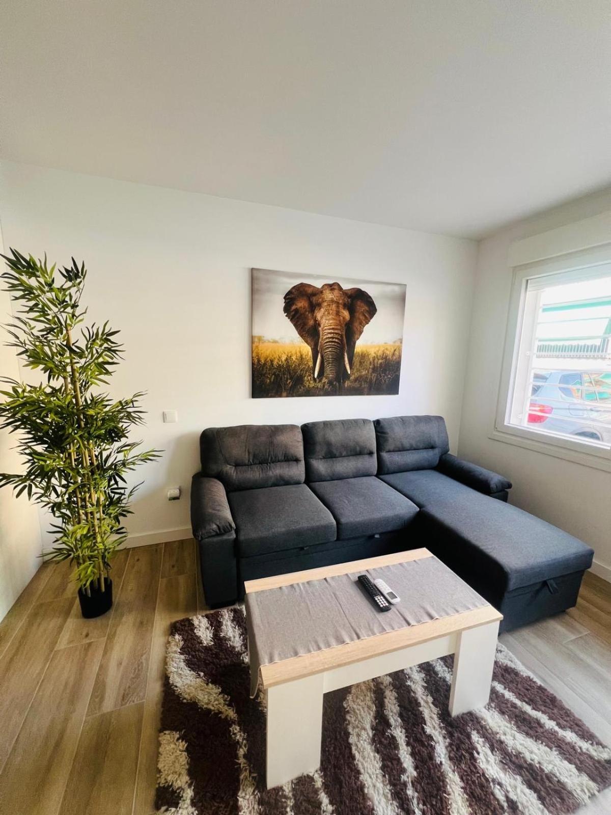 4 Elephant Wifi Y Netflix * Alcobendas